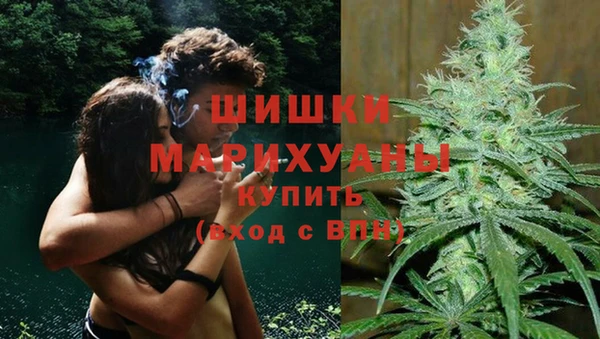 индика Верея
