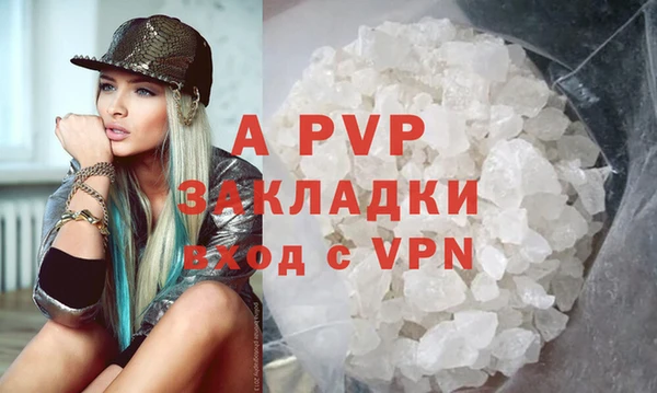 индика Верея