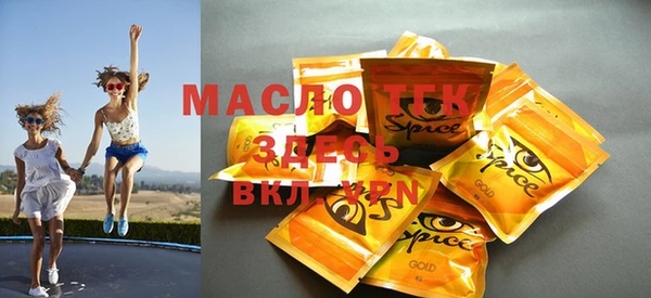 индика Верея