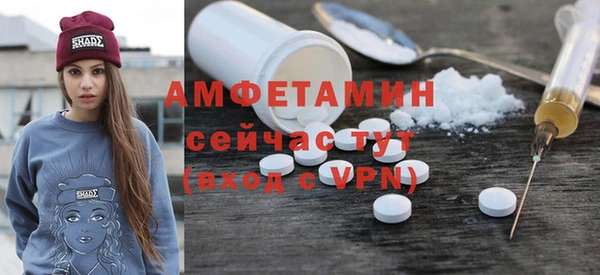 индика Верея