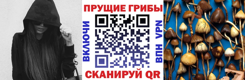 Галлюциногенные грибы прущие грибы  OMG ссылка  Городовиковск 